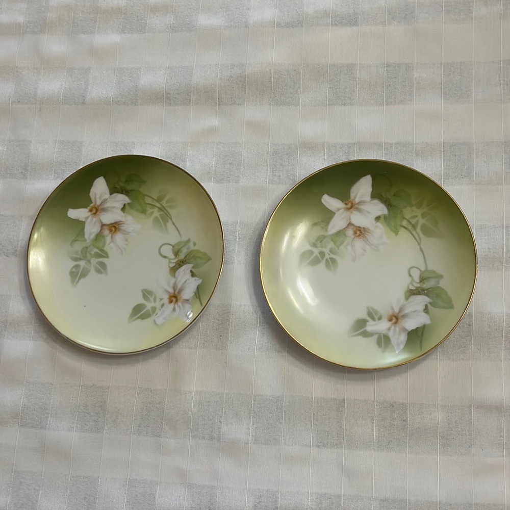 Antique delicate white floral design on porcelain plates RS Tillowitz Germany
